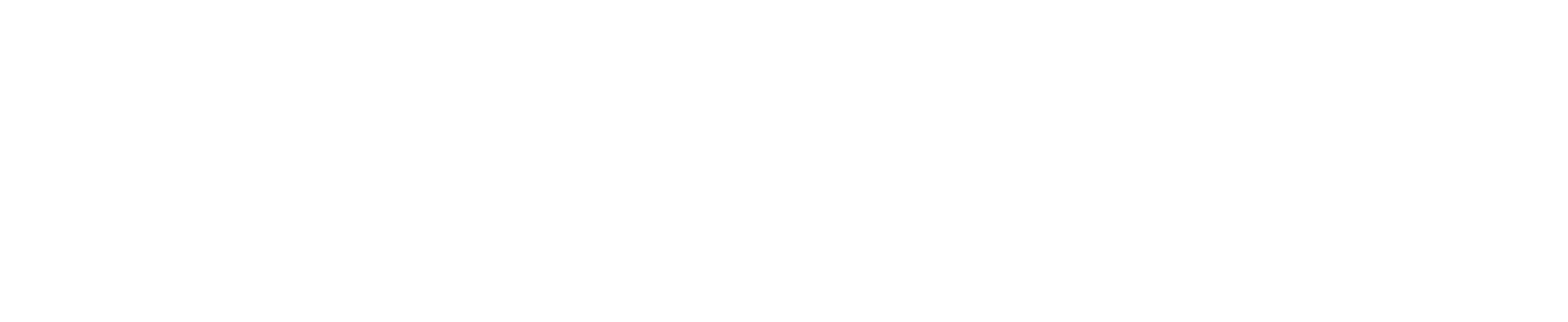 Logo white